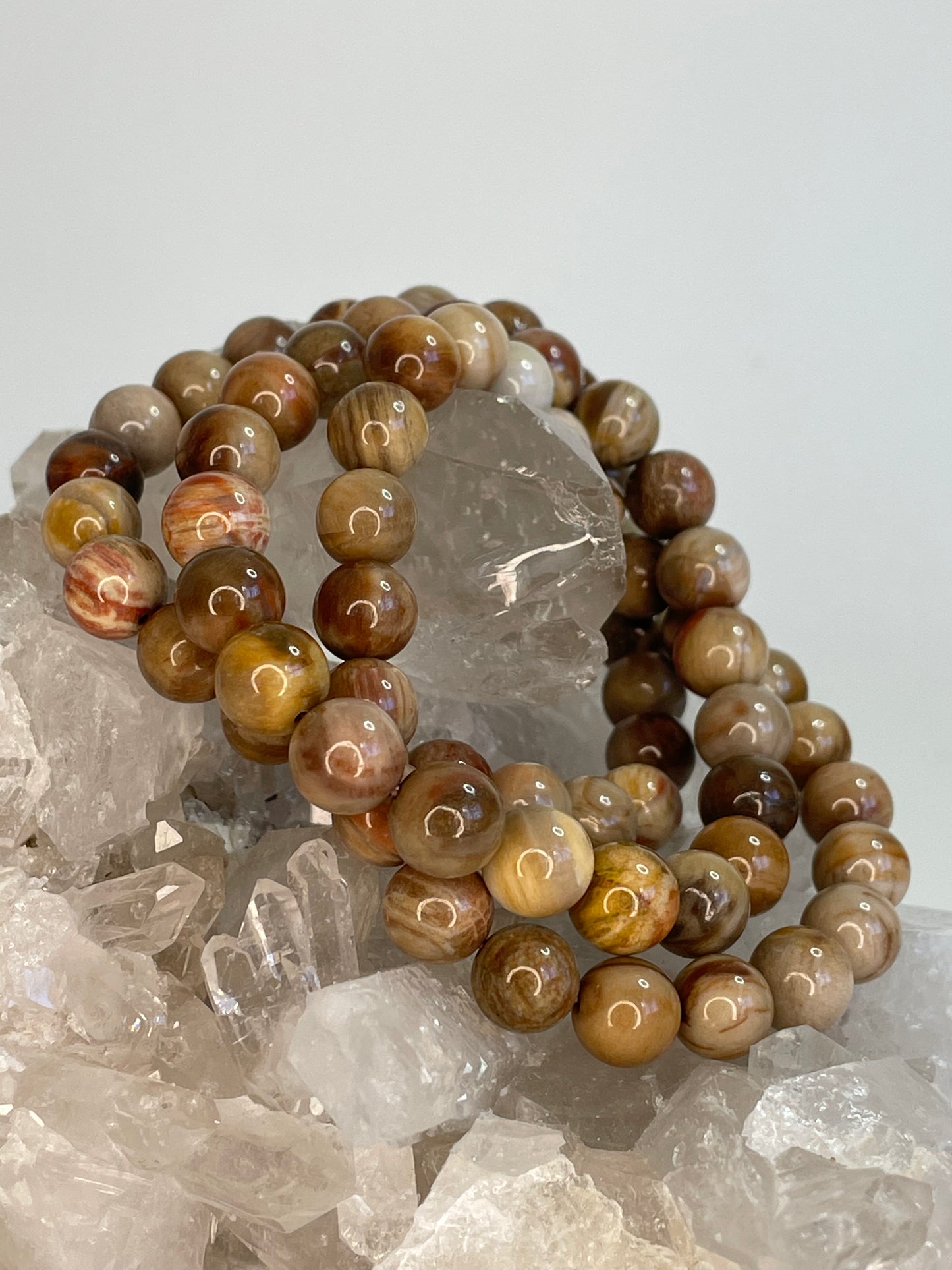 Petrified Wood Bracelet
